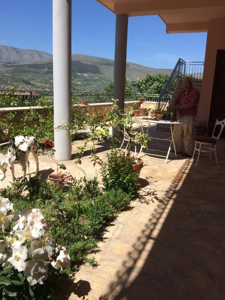 Guesthouse Villa Rosa Berat Værelse billede