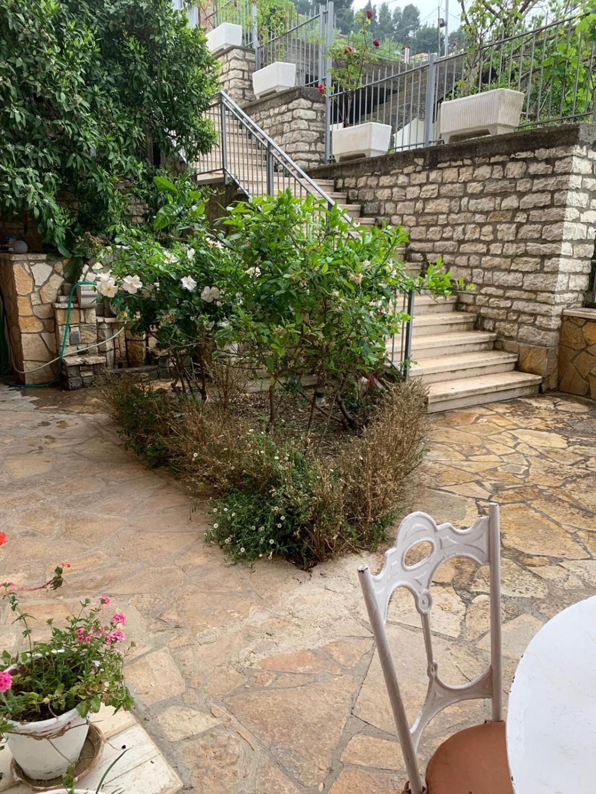 Guesthouse Villa Rosa Berat Værelse billede